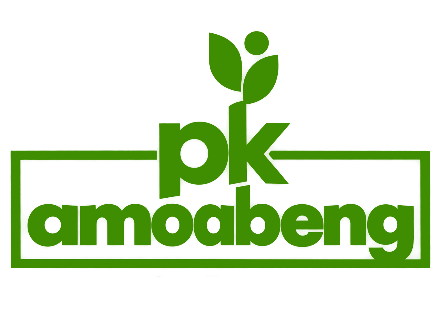 pkaleadershipfoundation.org